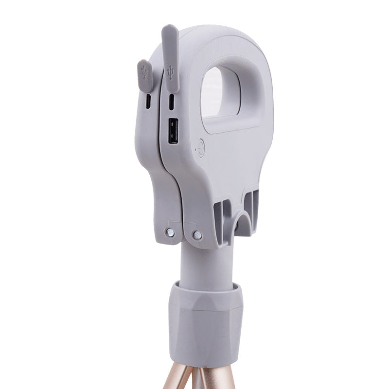 Folding Aluminum Alloy Trekking Crutch