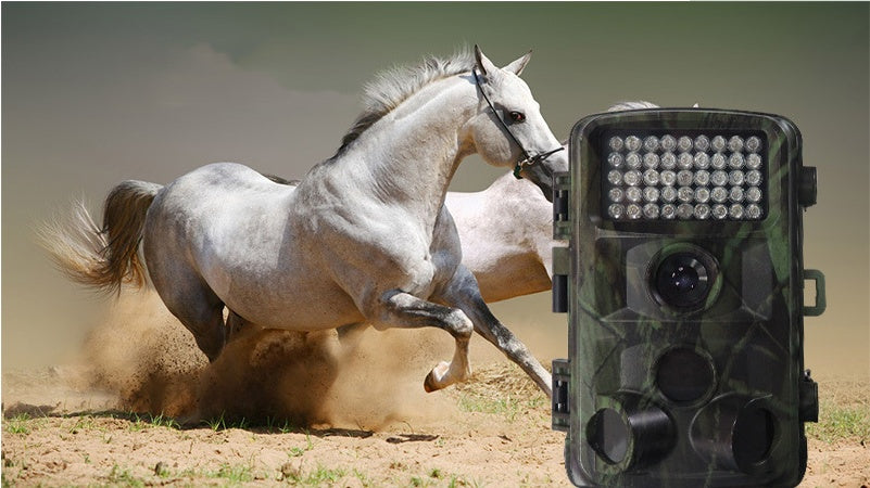 Wildlife Hunting Trail Camera